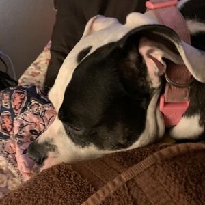 Meet your Posher, Kimberly